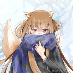 holo from spice and wolf