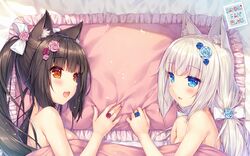 chocola (sayori) from nekopara by sayori