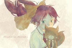 shimada minami from baka to test to shoukanjuu