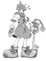 sora (kingdom hearts) from kingdom hearts