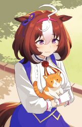 meisho doto (umamusume) from umamusume