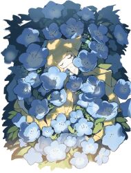 jirachi from pokemon