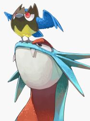 rookidee from pokemon by sake maguro