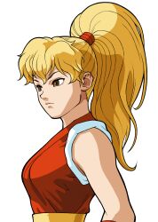 genryuusai maki from final fight by bengus