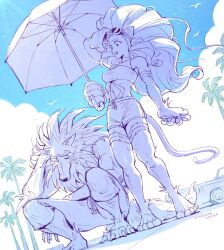felicia (darkstalkers) from darkstalkers
