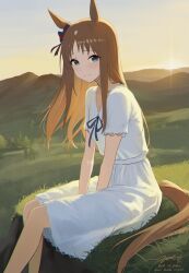grass wonder (umamusume) from umamusume