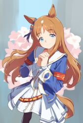 grass wonder (umamusume) from umamusume