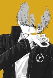 narukami yu from persona
