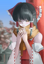 hakurei reimu from touhou by dedemaru