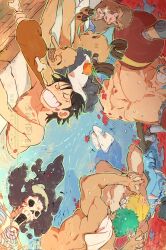 brook (one piece) from one piece