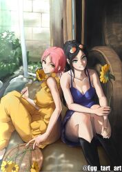 nico robin from one piece