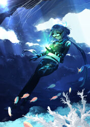 griseo from honkai (series)