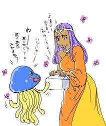 hoimin from dragon quest