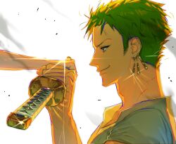 roronoa zoro from one piece