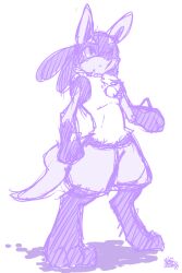 lucario from pokemon