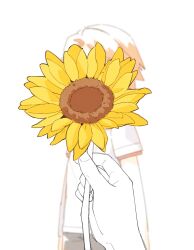 hanamura yousuke from persona