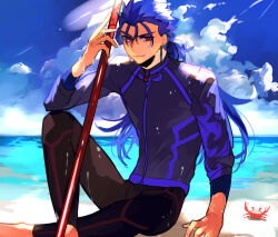 cu chulainn (fate) from fate/grand order