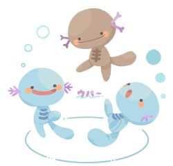 paldean wooper from pokemon