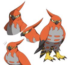 talonflame from pokemon