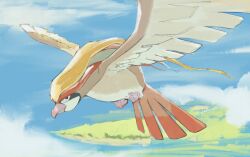 pidgeot from pokemon