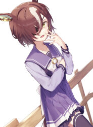 tanino gimlet (umamusume) from umamusume
