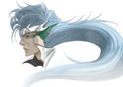 grimmjow jaegerjaquez from bleach