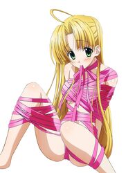 asia argento from high school dxd