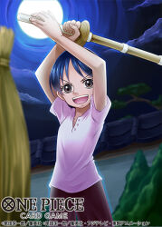 one piece fan art