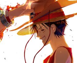 monkey d. luffy from one piece
