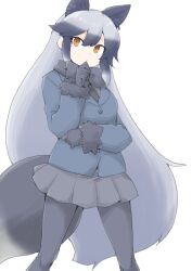 silver fox (kemono friends) from kemono friends by akara kai