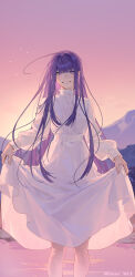 fern (sousou no frieren) from sousou no frieren
