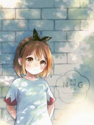 reisalin stout from atelier (series)
