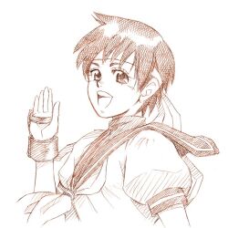 kasugano sakura from street fighter by rakshasa (artist)