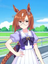 ikuno dictus (umamusume) from umamusume