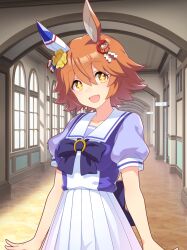 matikanefukukitaru (umamusume) from umamusume