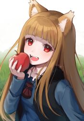 holo from spice and wolf by sakura chiyo (konachi000)