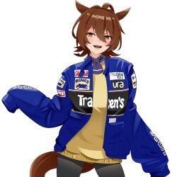 agnes tachyon (umamusume) from formula one by holeecrab