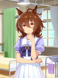 agnes tachyon (umamusume) from umamusume