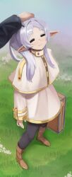 fern (sousou no frieren) from sousou no frieren
