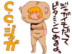 aki minoriko from c.c. lemon by onikobe rin