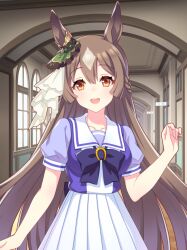 satono diamond (umamusume) from umamusume