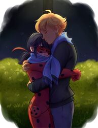 adrien agreste from miraculous ladybug