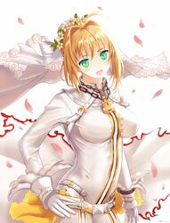 saber bride from fate (series)