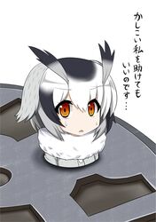 northern white-faced owl (kemono friends) from kemono friends by sudo shinren