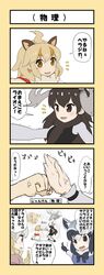 common raccoon (kemono friends) from kemono friends
