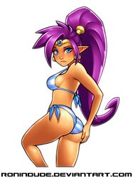shantae (character) from shantae by ronindude