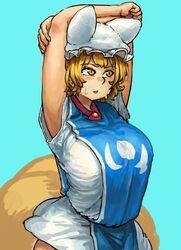 yakumo ran from touhou by chanta (ayatakaoisii)