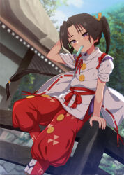 houjou tokiyuki (nige jouzu no wakagimi) from nige jouzu no wakagimi