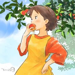 annie harding from wakakusa monogatari nan to jou sensei