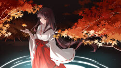 inuyasha (character) from inuyasha